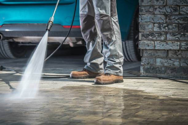 Best Roof Cleaning and Mildew Removal in Discovery Harbour, HI